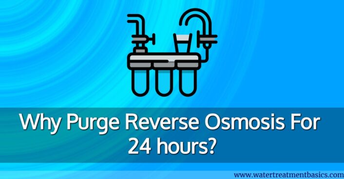 why purge reverse osmosis for 24 hours