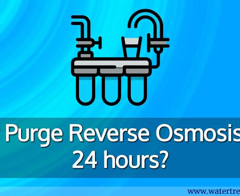 why purge reverse osmosis for 24 hours