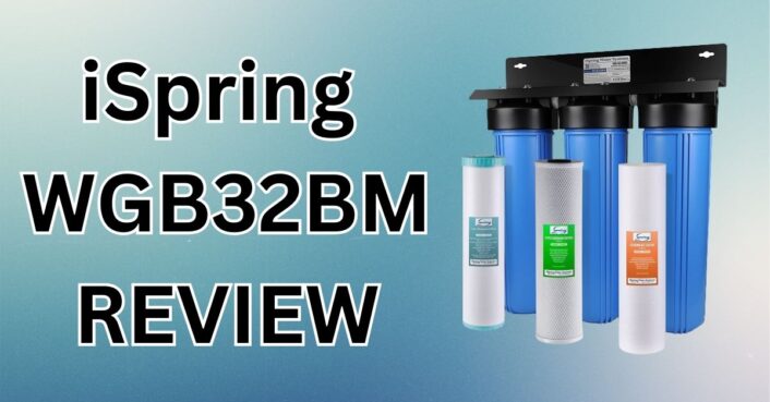 iSpring WGB32BM REVIEW